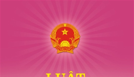 Tăng cường trợ giúp pháp lý trong hoạt động tố tụng hình sự