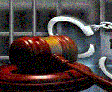 Những trường hợp Viện kiểm sát quyết định trả tự do ngay cho người bị tạm...