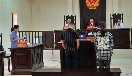 Viện KSND huyện Đan Phượng tích cực đấu tranh chống tội phạm sử dụng...