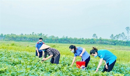 Kéo dài thời gian tổ chức Cuộc thi ảnh “Nét đẹp cán bộ, công chức ngành...