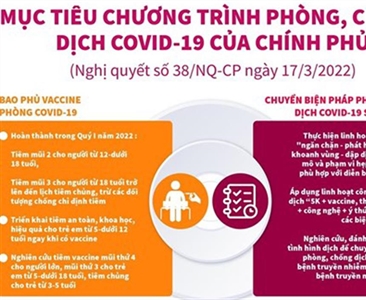 Chính phủ ban hành Chương trình phòng, chống dịch Covid-19