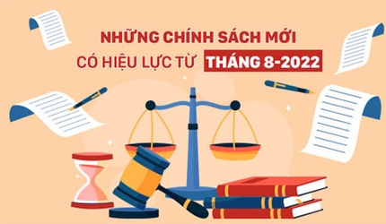 Những chính sách nổi bật có hiệu lực từ tháng 8/2022