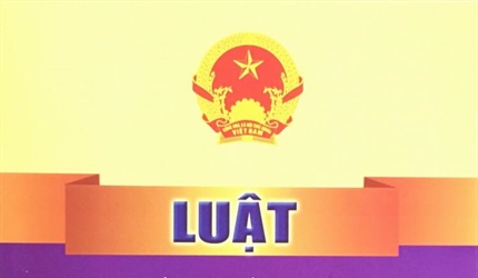 Kỹ năng phát hiện vi phạm và thực hiện quyền kiến nghị, kháng nghị...