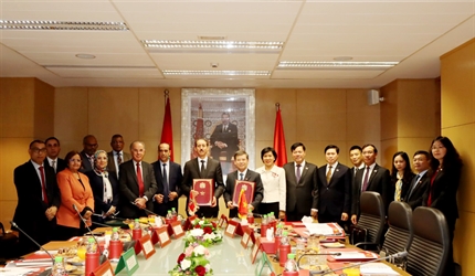 Viện KSND tối cao Việt Nam và Viện Công tố Vương quốc Ma-rốc hội đàm và...