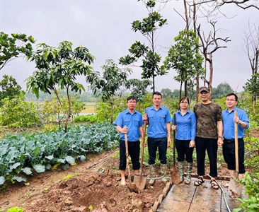 Đoàn thanh niên Viện KSND huyện Đông Anh sôi nổi trồng cây đầu năm xuân Quý Mão