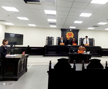 Viện Kiểm sát - Tòa án nhân dân huyện Mỹ Đức tổ chức các phiên toà hình sự...