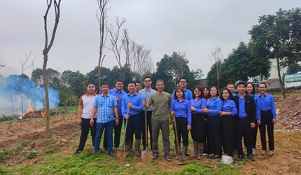 Viện KSND huyện Đông Anh chủ động, tích cực tham gia Tết trồng cây Xuân...