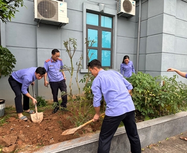 Viện KSND huyện Ba Vì nhớ lời Bác dạy “Mùa xuân là Tết trồng cây” và hưởng...