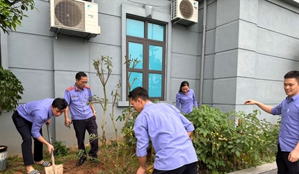 Viện KSND huyện Ba Vì nhớ lời Bác dạy “Mùa xuân là Tết trồng cây” và...