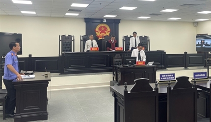 Viện Kiểm sát - Tòa án nhân dân huyện Mỹ Đức tổ chức các phiên toà hình...