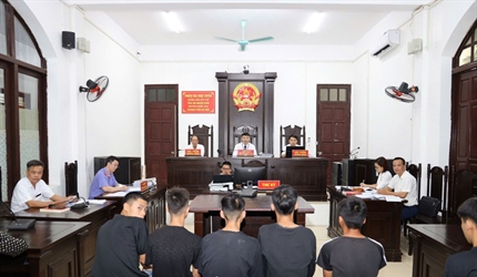 Viện KSND huyện Quốc Oai chủ động, tích cực thực hiện chỉ tiêu Lãnh đạo...