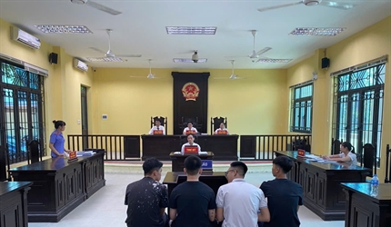 Viện KSND quận Long Biên  phối hợp với Tòa án cùng cấp tổ chức phiên...