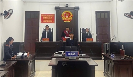 Viện KSND huyện Đan Phượng phối hợp với Tòa án nhân dân cùng cấp tổ...