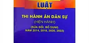 Một số dạng vi phạm trong công tác kiểm sát Thi hành án dân...