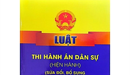 Một số dạng vi phạm trong công tác kiểm sát Thi hành án dân sự dẫn tới...