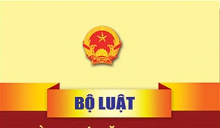 Xác định sai số tiền bị cáo chiếm đoạt trong vụ án Lạm dụng tín nhiệm...