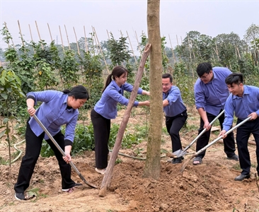 Đoàn Thanh niên Viện KSND huyện Đông Anh sôi nổi trồng cây đầu xuân Ất Tỵ...