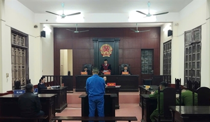 Viện KSND huyện Sóc Sơn tăng cường phối hợp điều tra, xét xử các vụ án...