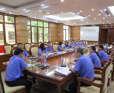 VKS Hà Nội tổ chức Hội nghị trực tuyến tập huấn công tác thống kê và công...