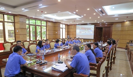 VKS Hà Nội tổ chức Hội nghị trực tuyến tập huấn công tác thống kê và...