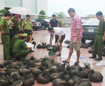 Khởi tố hay không khởi tố?